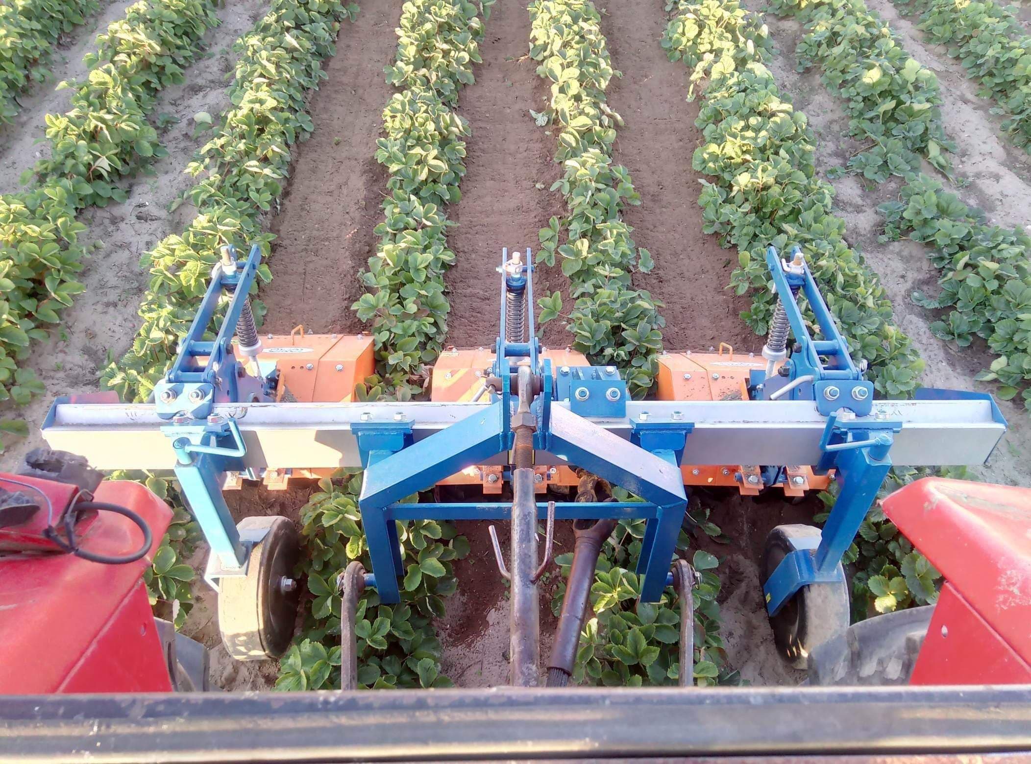 86689045_621572291747878_460693559561945088_n